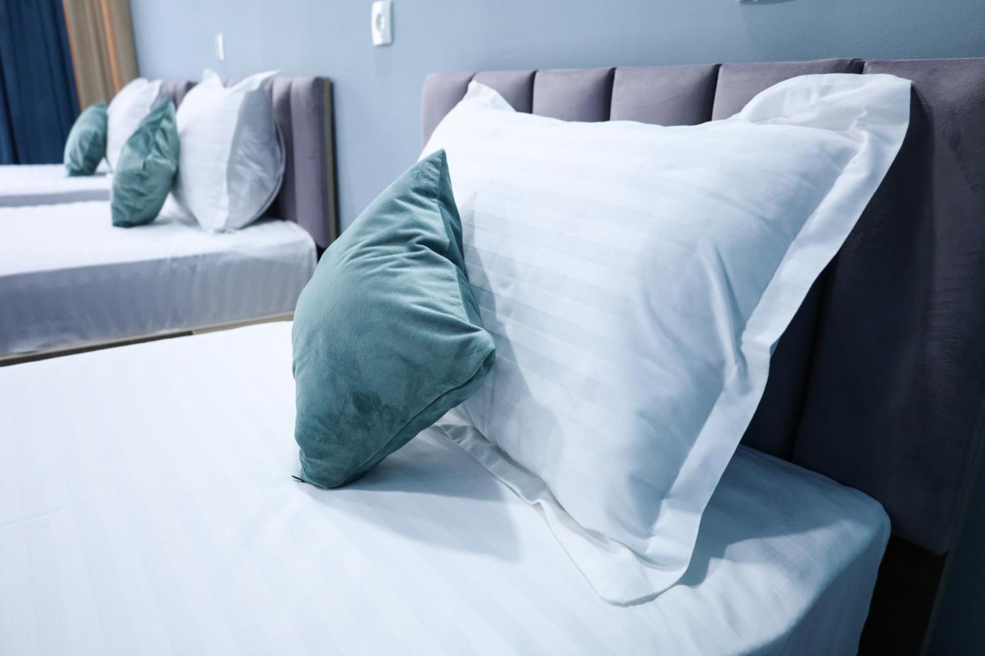 タシュケント Blue Sky Bed & Breakfast エクステリア 写真